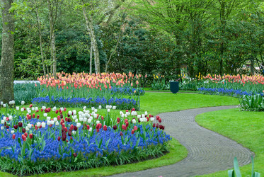 Similar image 13149032