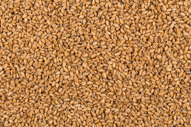 Similar image 13173056