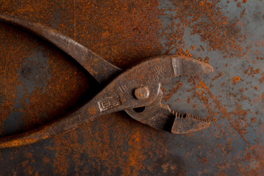 Similar image 13173061