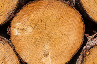 Similar image 13173085