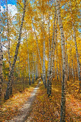 Similar image 13155323