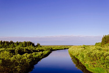 Similar image 13155328