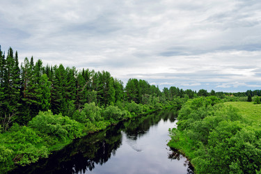 Similar image 13155329