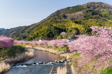 Similar image 13150075