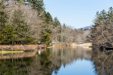 Similar image 13150294