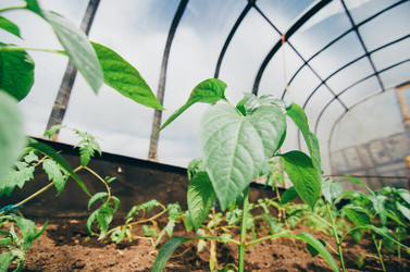 Similar image 13168599