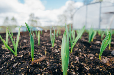 Similar image 13169039