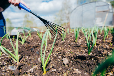 Similar image 13169260