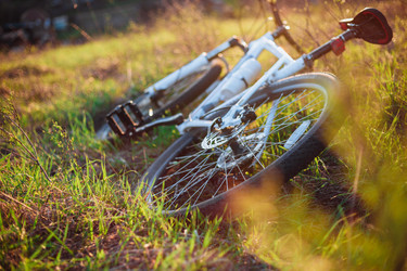 Similar image 13158371