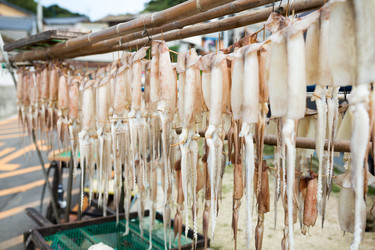 Similar image 13150216