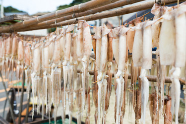 Similar image 13150237