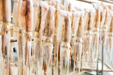 Similar image 13150277