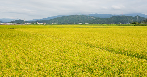 Similar image 13150337