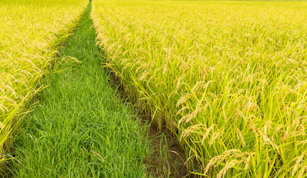 Similar image 13150446