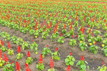 Similar image 13149482