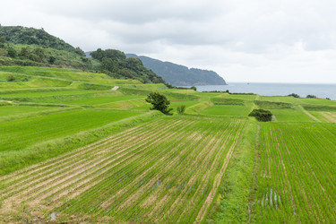 Similar image 13149898