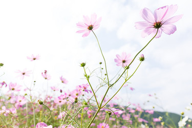 Similar image 13150853