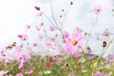 Similar image 13150855