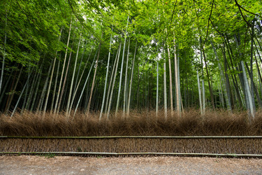 Similar image 13149466