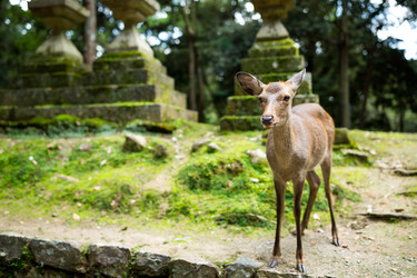 Similar image 13150081