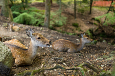 Similar image 13150137