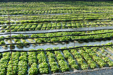 Similar image 13149506