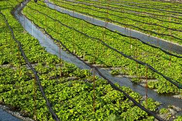 Similar image 13149546