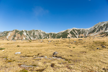 Similar image 13150039