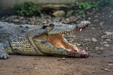 Similar image 13149965