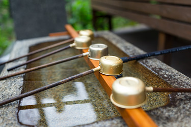 Similar image 13150451