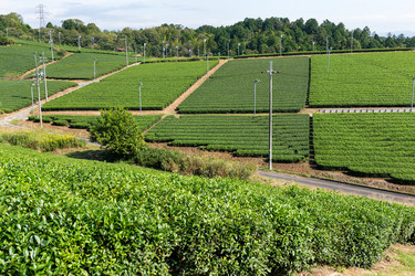 Similar image 13149587