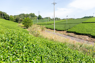 Similar image 13149624