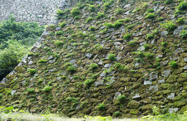 Similar image 13149823