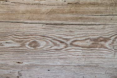 Similar image 13149117