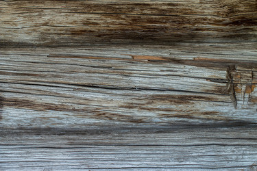 Similar image 13149118