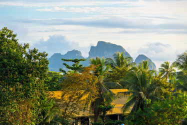 Similar image 13158796