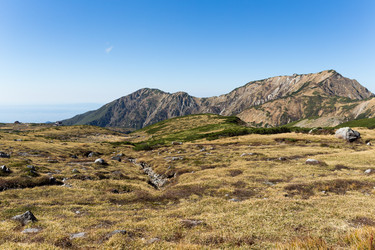 Similar image 13149787