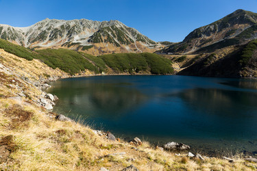 Similar image 13150244