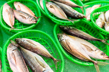 Similar image 13150435