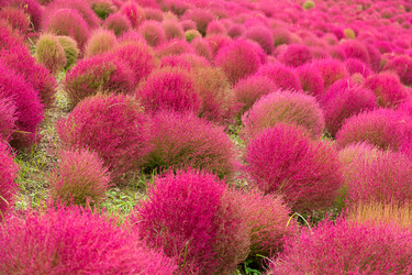 Similar image 13149645