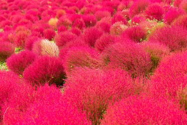 Similar image 13149667