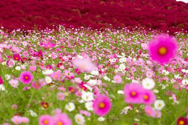 Similar image 13149687