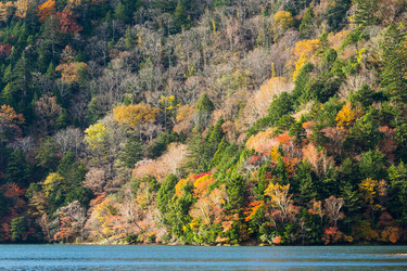 Similar image 13149750