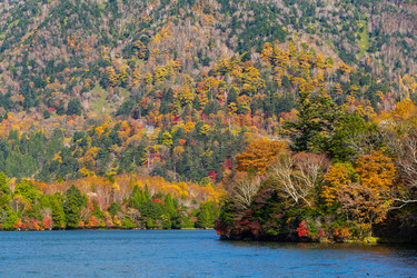 Similar image 13149769