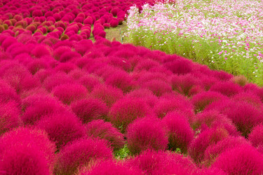 Similar image 13149809