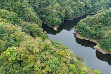 Similar image 13149828