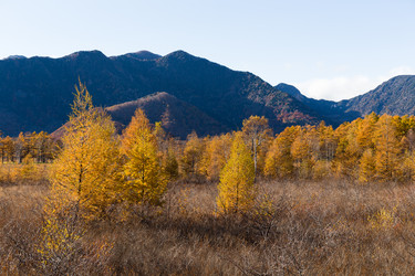 Similar image 13150168