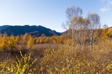 Similar image 13150203