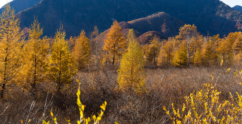 Similar image 13150222