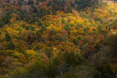 Similar image 13150245